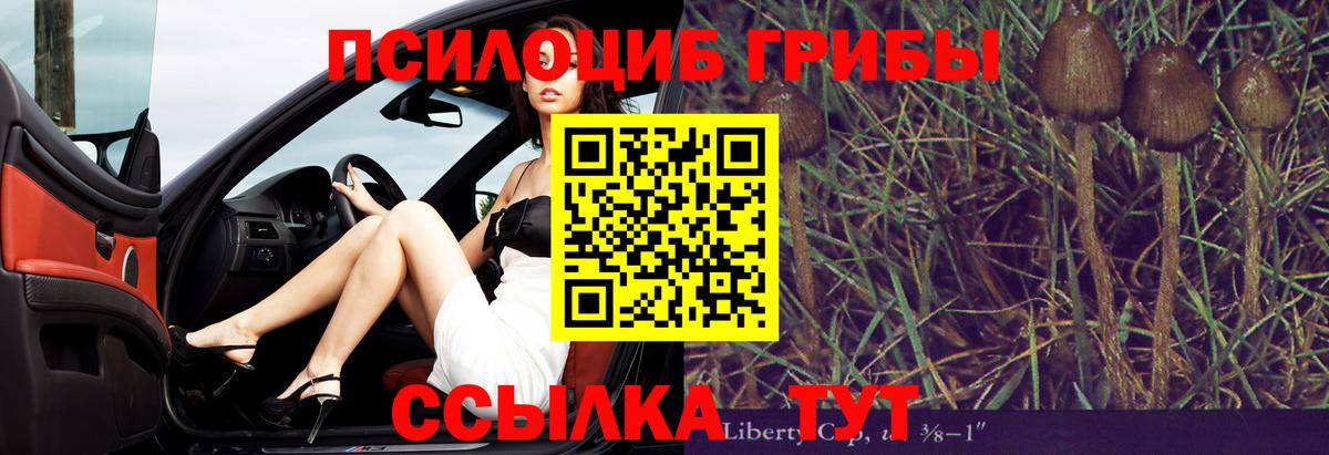 Псилоцибиновые грибы прущие грибы  Вход с VPN  Новоалександровск 